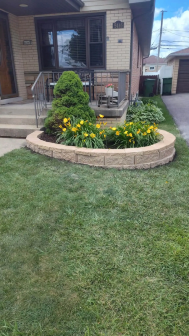 Curved block retaining wall bed with daylilies and shaped evergreen at a front porch